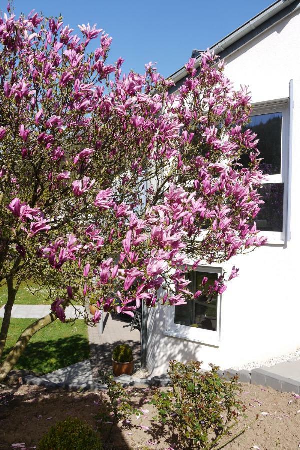 Ferienwohnung "Magnolia" Kordel Bagian luar foto